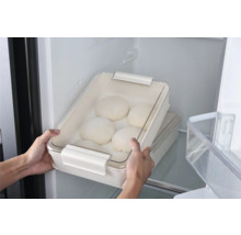 Deegbak met deegbollen in de koelkast