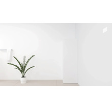 Lichte interieur met kamerplant, handdoekhouder en handdoek