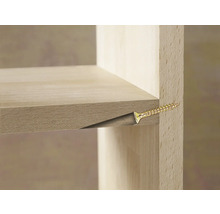 Detail van een plank die met een schroef aan de zijwand is bevestigd