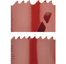 Wolfcraft gatzagen in detail