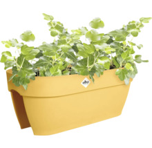 Gele balkonbak met klimop