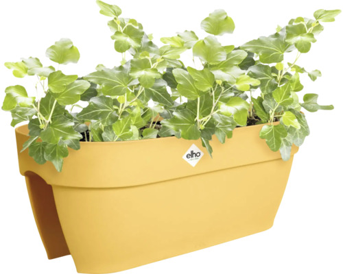 Gele balkonbak met klimop