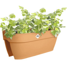 Balkonbak met klimop en Elho Logo