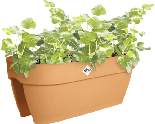 Balkonbak met klimop en Elho Logo