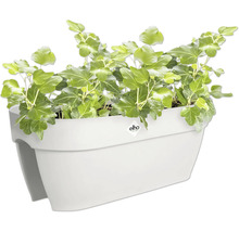 Witte bloembak met klimop