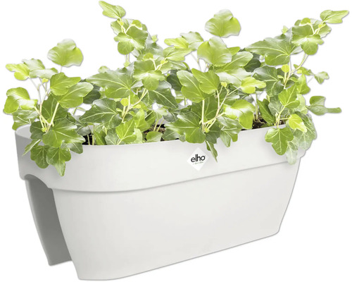 Witte bloembak met klimop