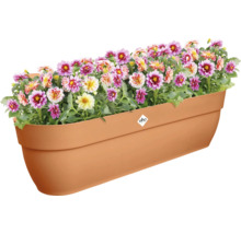 Bloembak met kleurrijke dahlia's en Elho Logo