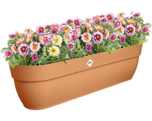 Bloembak met kleurrijke dahlia's en Elho Logo