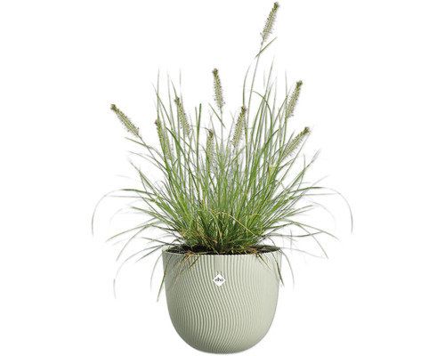 Gras in een pot met golvend design en Elho logo