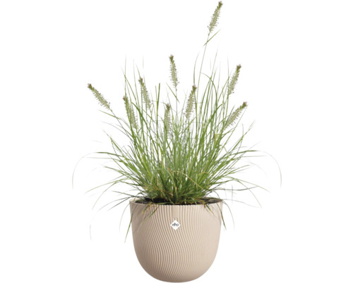 Grasbundel in een geribbelde plantenbak