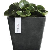 Vierkante bloempot van Ecopots met een groene plant.