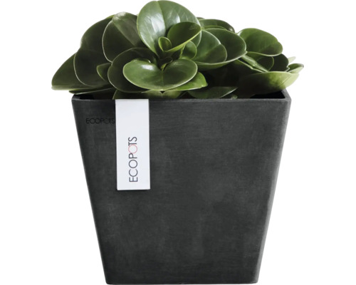 Vierkante bloempot van Ecopots met een groene plant.
