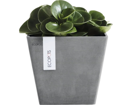 Vierkante Ecopots bloempot met steenlook en een groene kamerplant.