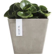 Vierkante Ecopots plantenbak in steenlook met groene kamerplant.