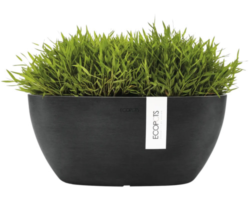 Ovale zwarte ECOPOTS plantenschaal met groene plant.