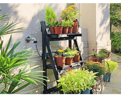Bloemen op een rek en in potten buitenshuis.