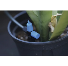 Druppelaar van het bewateringssysteem in bloempot met plant