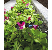 Bloembed met irrigatiesysteem voor planten