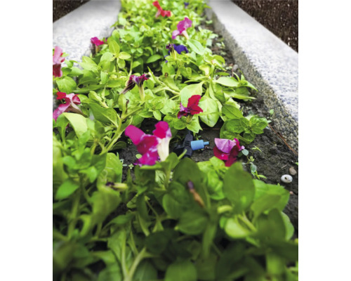 Bloembed met irrigatiesysteem voor planten