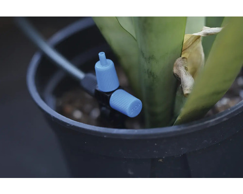 Bewateringssysteem met instelkraan in een bloempot