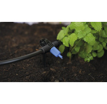 Druppelirrigatie met regelventiel voor het bewateren van planten in de tuin