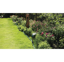 Tuinbewatering met gazonsproeier in een bloeiende tuin.