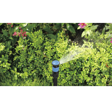 Tuinsproeier besproeit planten