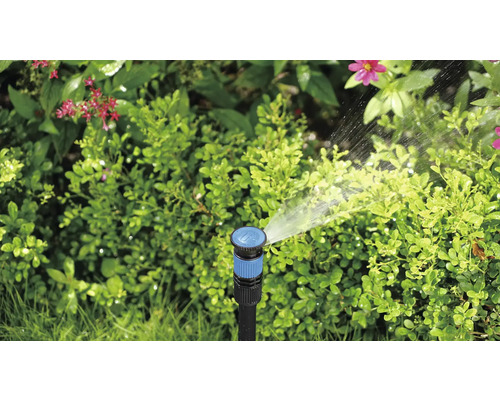 Tuinsproeier besproeit planten