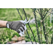 Tuinieren met een snoeischaar en tuinhandschoenen aan een stekelige struik.