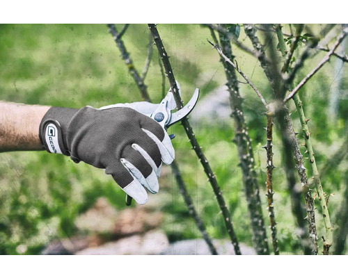 Tuinieren met een snoeischaar en tuinhandschoenen aan een stekelige struik.