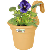 Hangpot met viooltjesbloem in pot en Elho logo