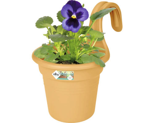 Hangpot met viooltjesbloem in pot en Elho logo