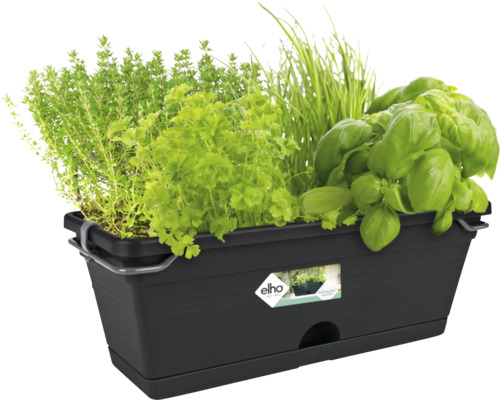 Zwarte plantenbak met diverse kruiden