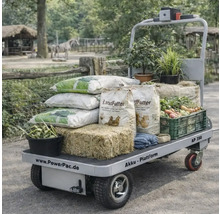 Elektrische kruiwagen met diervoeder, hooi, planten en groenten voor de dierentuinbenodigdheden