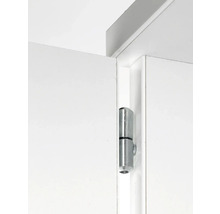 Deur met metalen scharnier