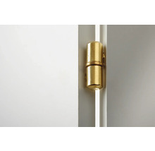 Messingkleurig scharnier op een deur