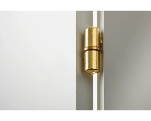 Messingkleurig scharnier op een deur