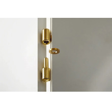 Messingkleurige deurhengsel voor bevestiging aan een deur