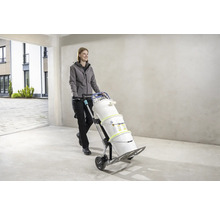 Vrouw vervoert verfemmers met een steekwagen.