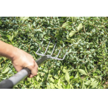 Een persoon harkt bladeren bij elkaar met een metalen hark.