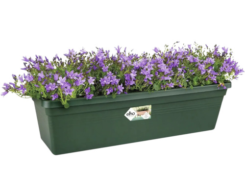 Bloembak met paarse klokjesbloemen