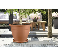 Kunststof plantenbak met boom op terras