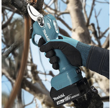Makita accu-takkenschaar 18 Volt bij het snoeien van een tak aan een boom.