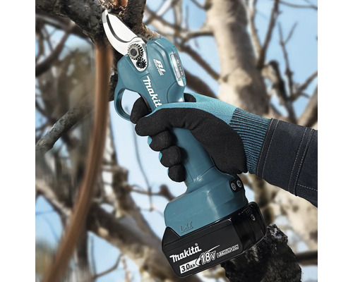 Makita accu-takkenschaar 18 Volt bij het snoeien van een tak aan een boom.