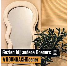 Decoratieve spiegel met onregelmatig frame naast een kamerplant en een rolgordijn