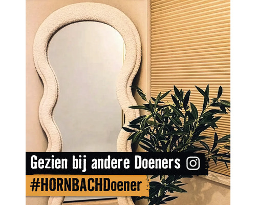 Decoratieve spiegel met onregelmatig frame naast een kamerplant en een rolgordijn