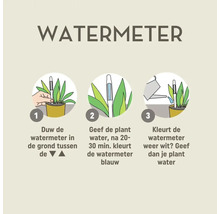 Instructie voor het gebruik van een vochtmeter voor planten