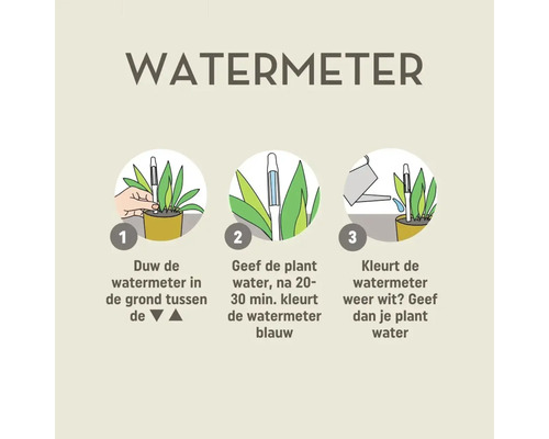 Instructie voor het gebruik van een vochtmeter voor planten