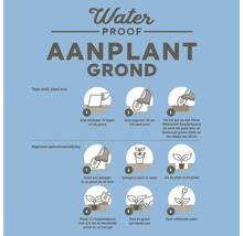 Instructie voor waterdichte aanplantgrond met planttips