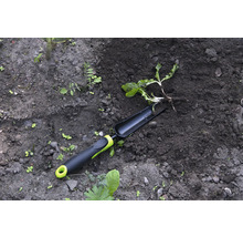 Tuingereedschap en plant in tuingrond